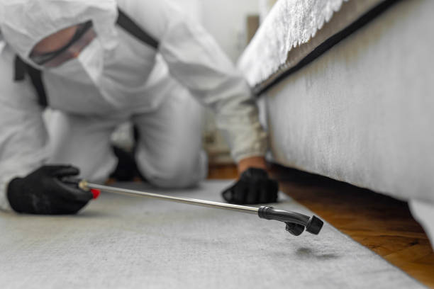 Professional Pest Control technician working in Waller County County, TX